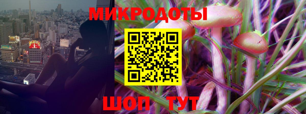 Псилоцибиновые грибы Cubensis  Вход с VPN  Ухта 